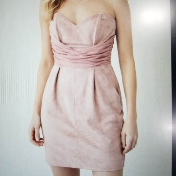 Danier Dresses & Skirts - Danier Suede And Leather Strapless Dress. Pink Sz M on Tag